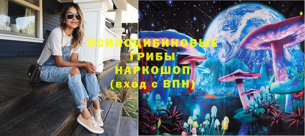 гидра Гусев