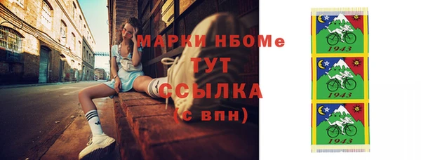 гидра Гусев