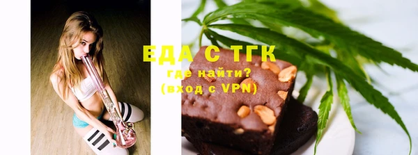 гидра Гусев