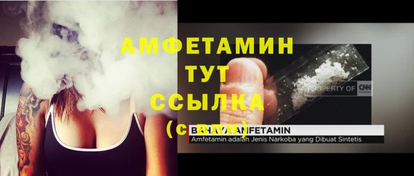 гидропоника Гусиноозёрск