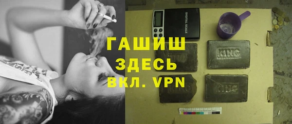 гидра Гусев