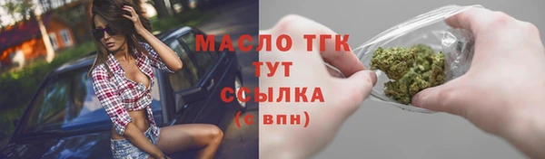 гидропоника Гусиноозёрск