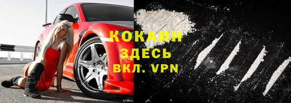 гидра Гусев