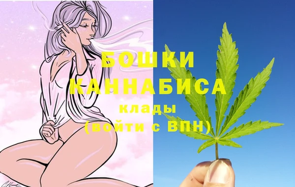 гидропоника Гусиноозёрск