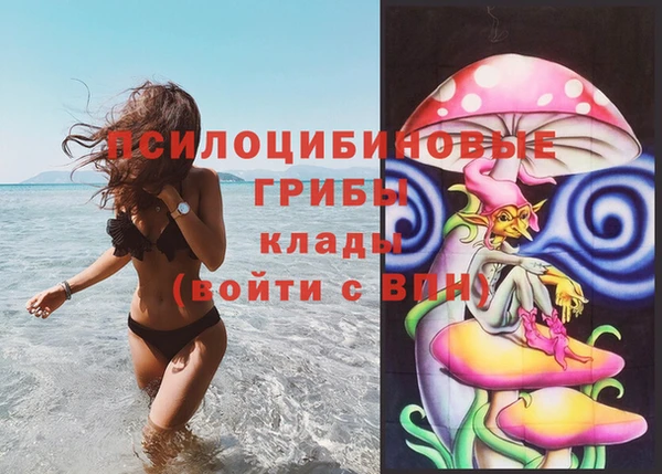 таблы Вяземский