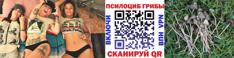 Псилоцибиновые грибы GOLDEN TEACHER  дарк нет как зайти  kraken ONION  Выборг  наркошоп 