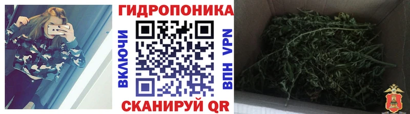 MEGA рабочий сайт  Выборг  Бошки Шишки VHQ 