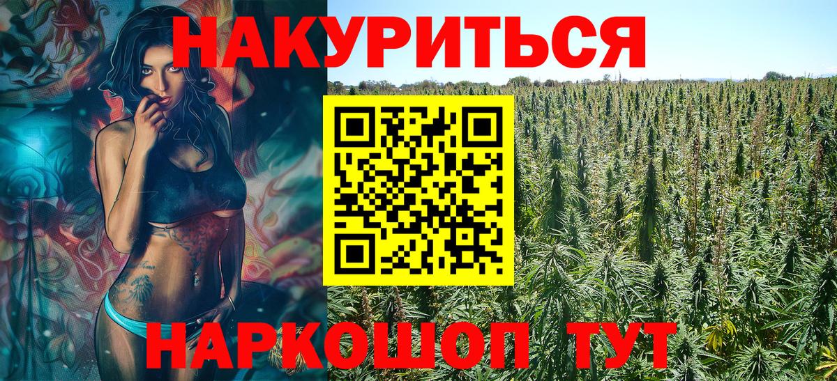 Канабис семена Выборг